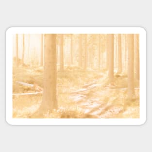 Forest Sticker